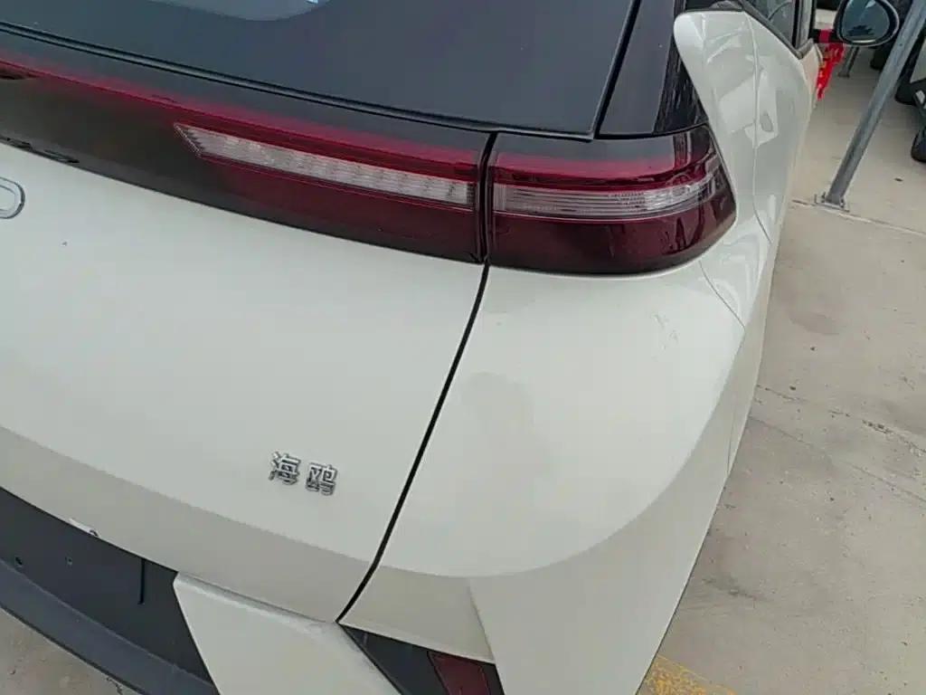 Seagull 2025 Smart Driving Edition 305km Vitality Edition — миниатюра 8