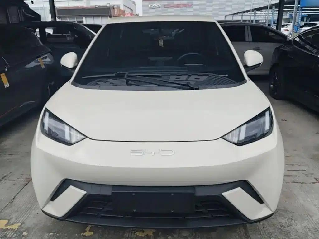 Seagull 2023 Freedom Edition — миниатюра 3