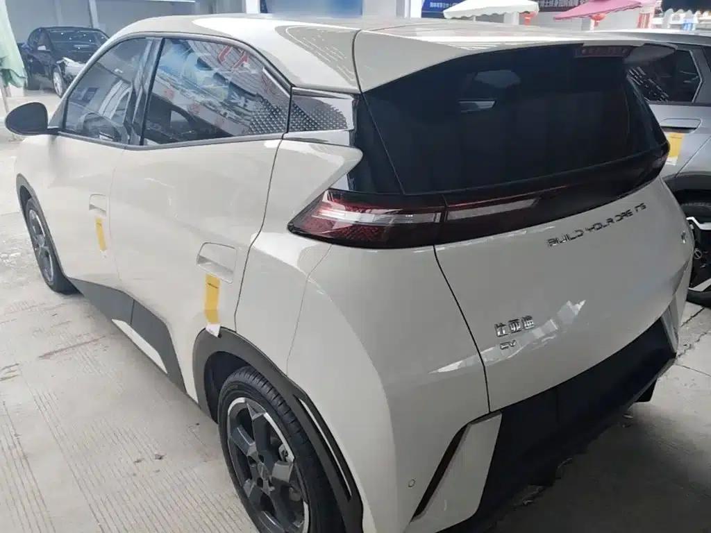 Seagull 2023 Freedom Edition — миниатюра 5