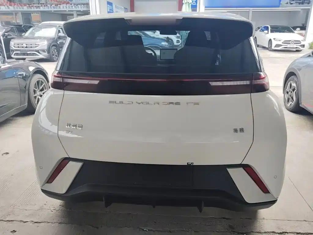 Seagull 2023 Freedom Edition — миниатюра 6