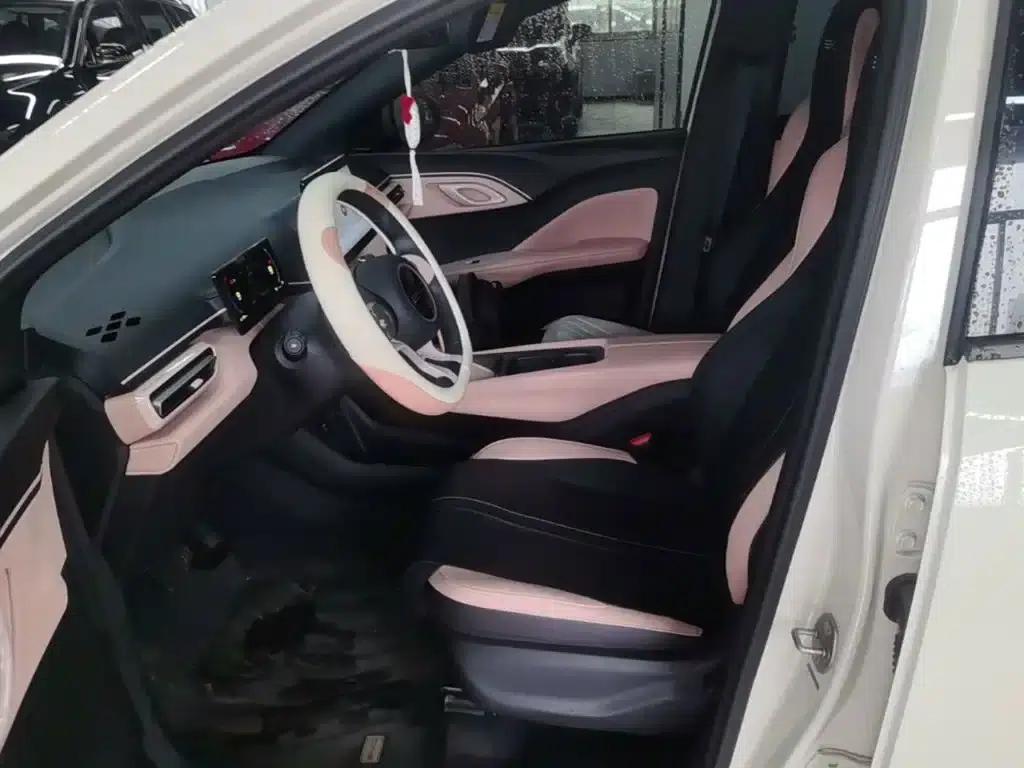 Seagull 2023 Vitality Edition — миниатюра 15