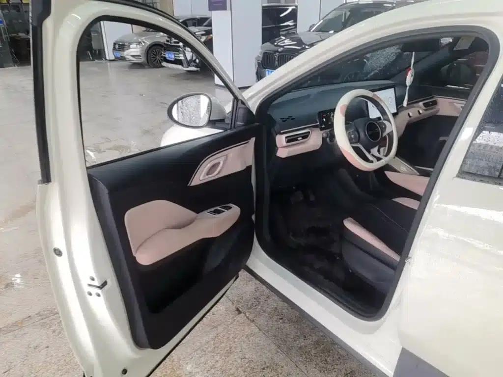 Seagull 2023 Vitality Edition — миниатюра 16