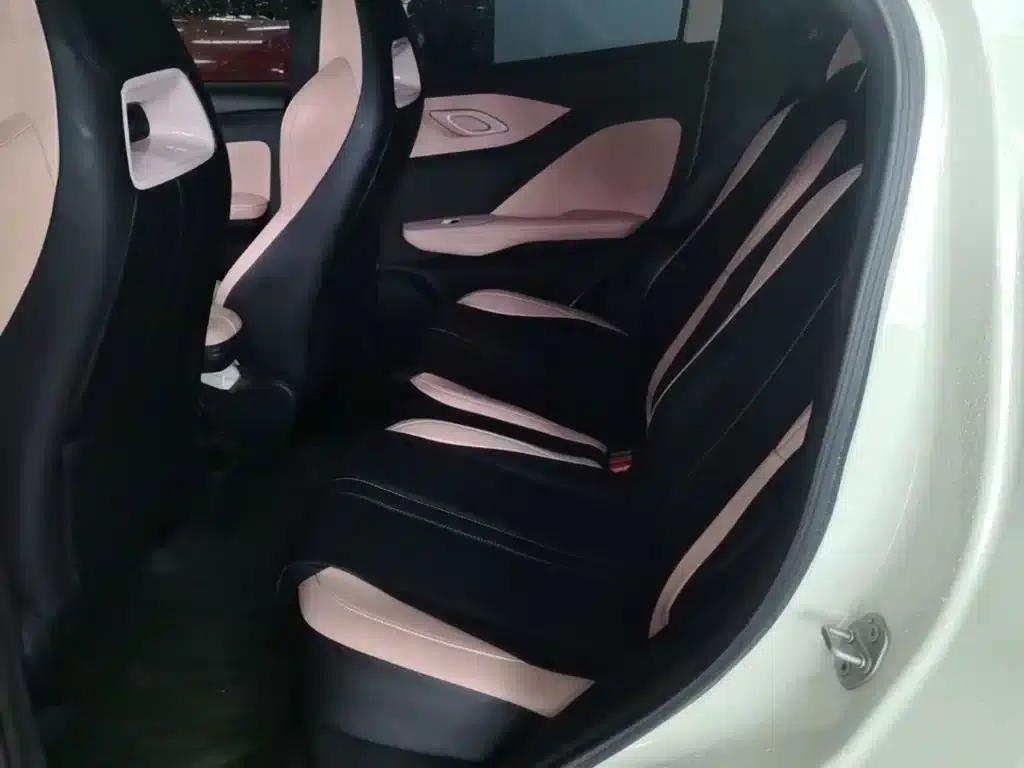 Seagull 2023 Vitality Edition — миниатюра 17