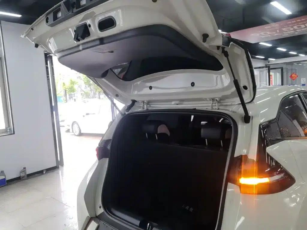 Seagull 2023 Vitality Edition — миниатюра 19
