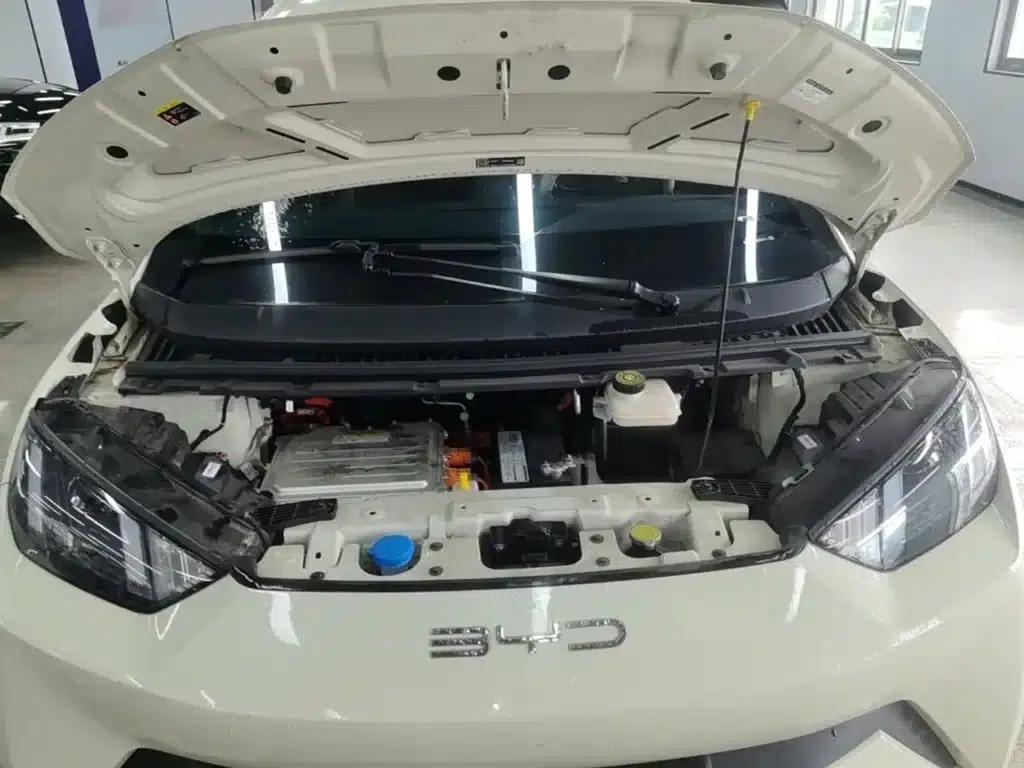 Seagull 2023 Vitality Edition — миниатюра 20