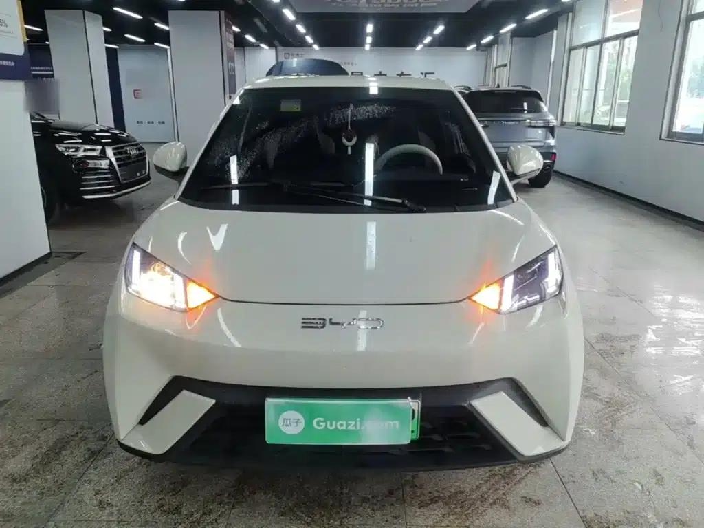 Seagull 2023 Vitality Edition — миниатюра 3