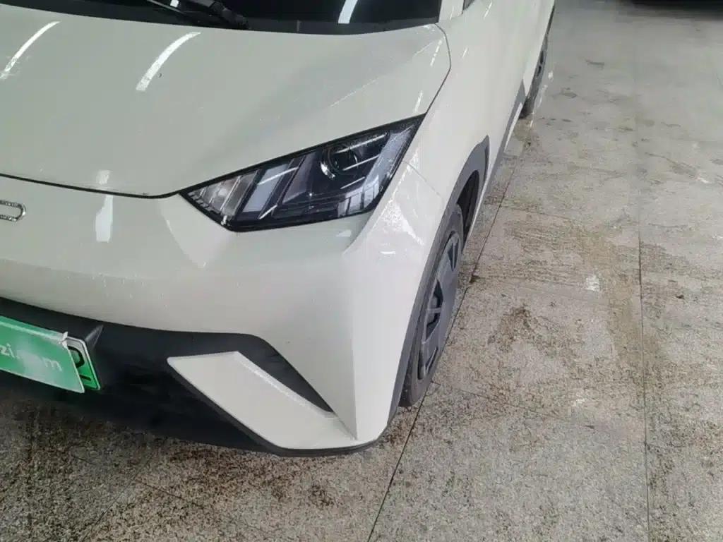 Seagull 2023 Vitality Edition — миниатюра 24