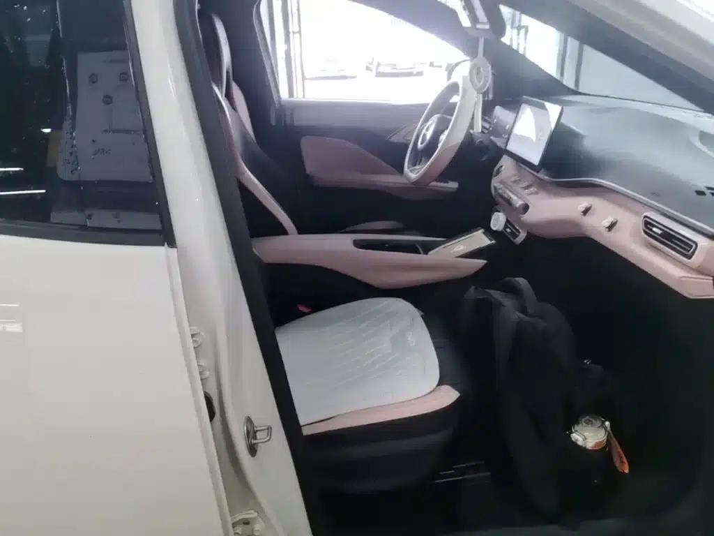 Seagull 2023 Vitality Edition — миниатюра 25