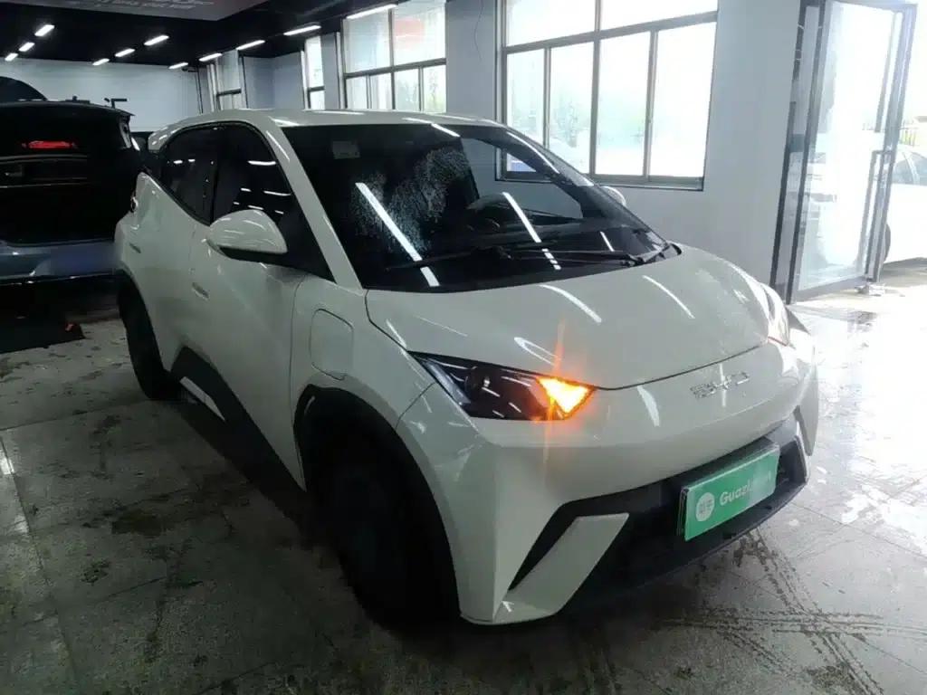 Seagull 2023 Vitality Edition — миниатюра 4