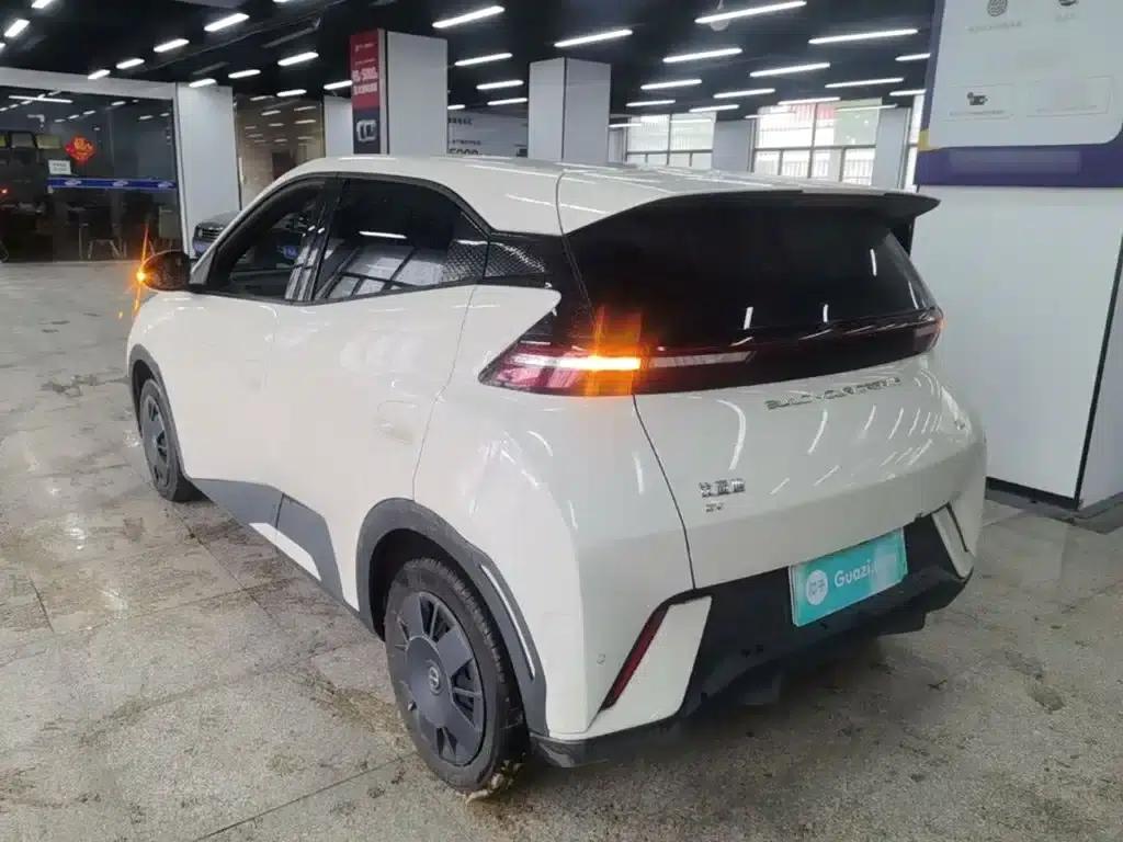 Seagull 2023 Vitality Edition — миниатюра 5