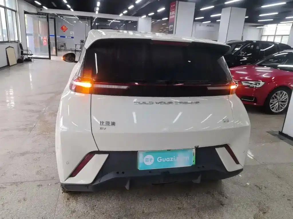 Seagull 2023 Vitality Edition — миниатюра 6