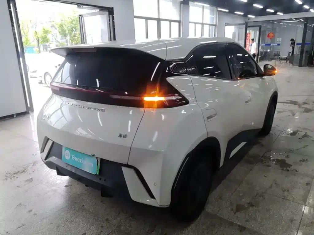Seagull 2023 Vitality Edition — миниатюра 7