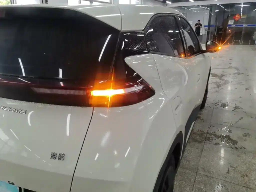 Seagull 2023 Vitality Edition — миниатюра 8