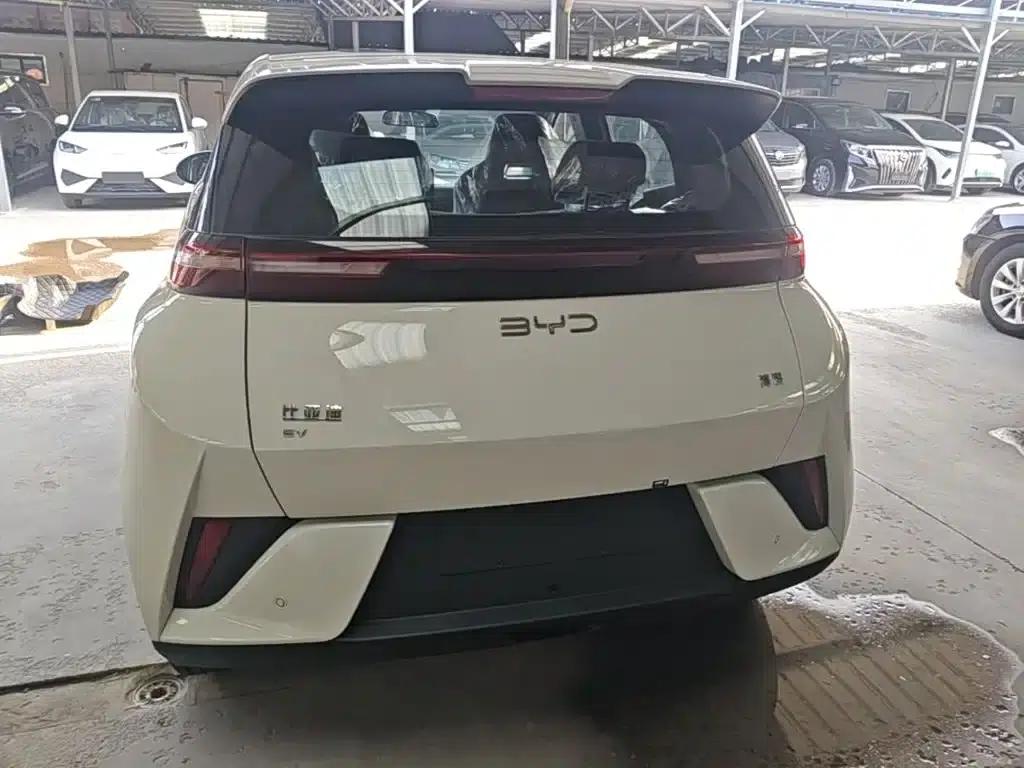 Seagull 2025 Smart Driving Edition 305km Vitality Edition — миниатюра 4