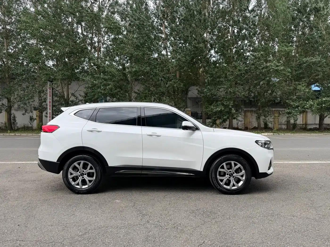 Haval H6 2021 National Trend Edition 1.5T Automatic Champion Edition — миниатюра 4