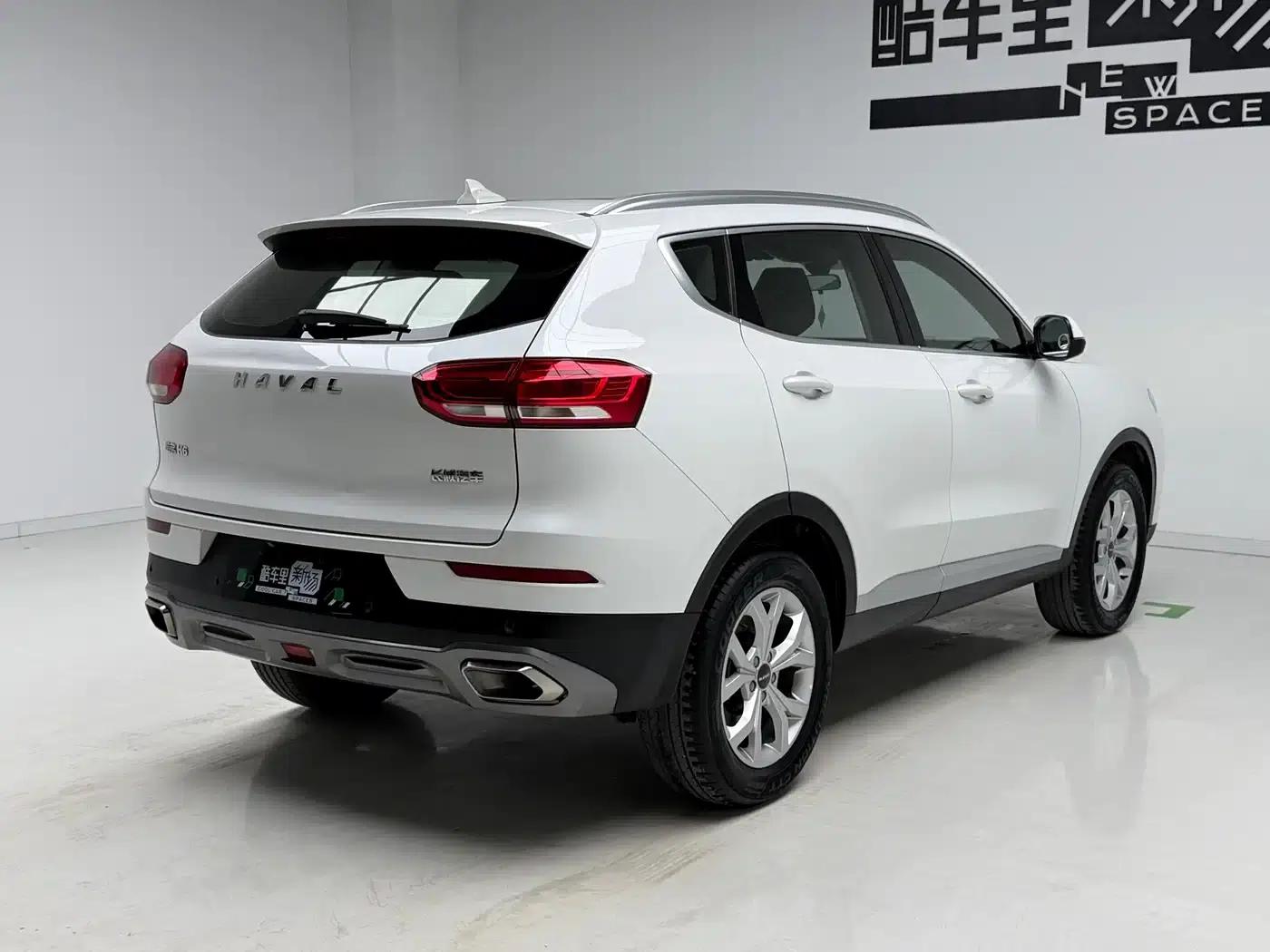 Haval H6 2020 1.5GDIT Automatic Platinum Champion Edition — миниатюра 4