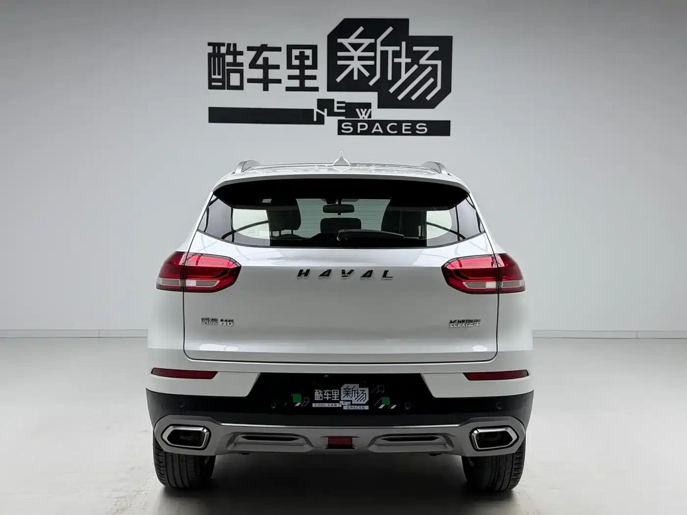 Haval H6 2020 1.5GDIT Automatic Platinum Champion Edition — миниатюра 5