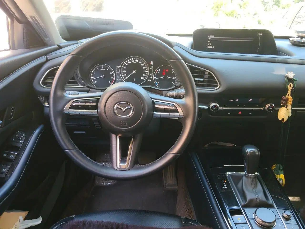 Mazda CX-30 2020 2.0L Automatic YAYUE Version — миниатюра 10