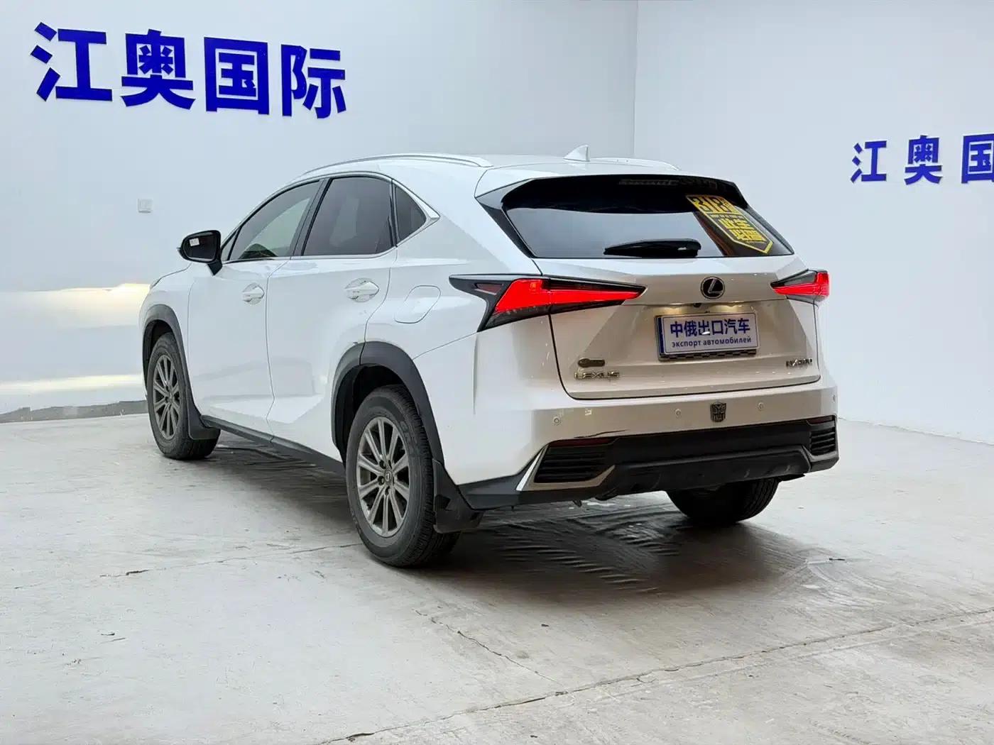 Lexus NX 2018 200 AWD Sport Edition (China V Emission Standard) — миниатюра 22