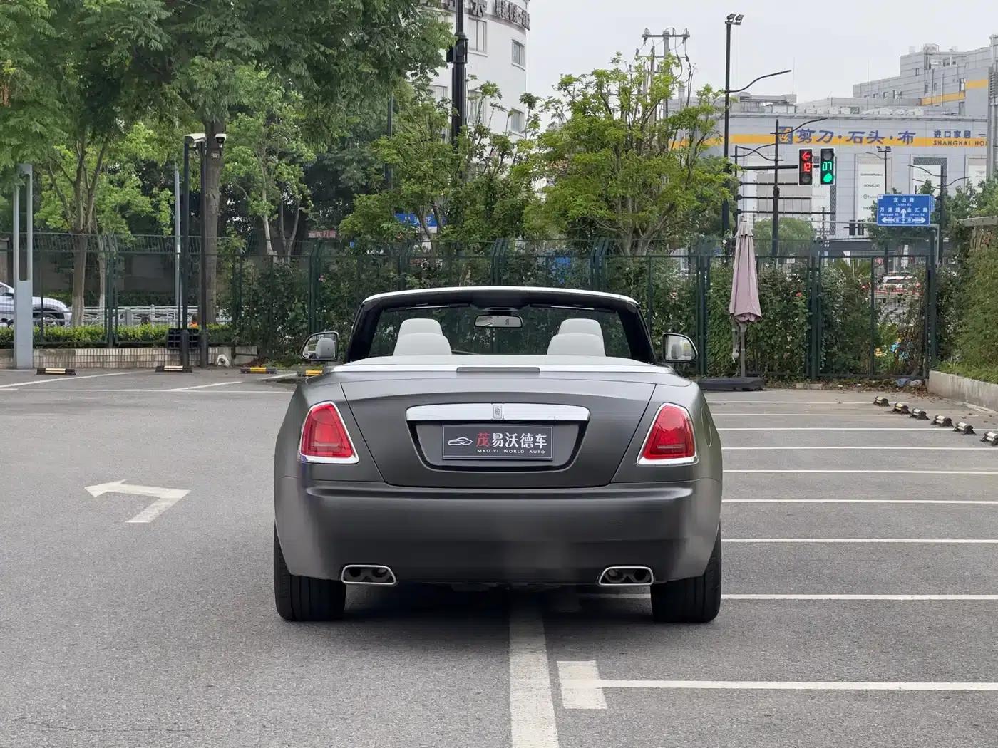 2018 Dawn 6.6T Standard Edition — миниатюра 4