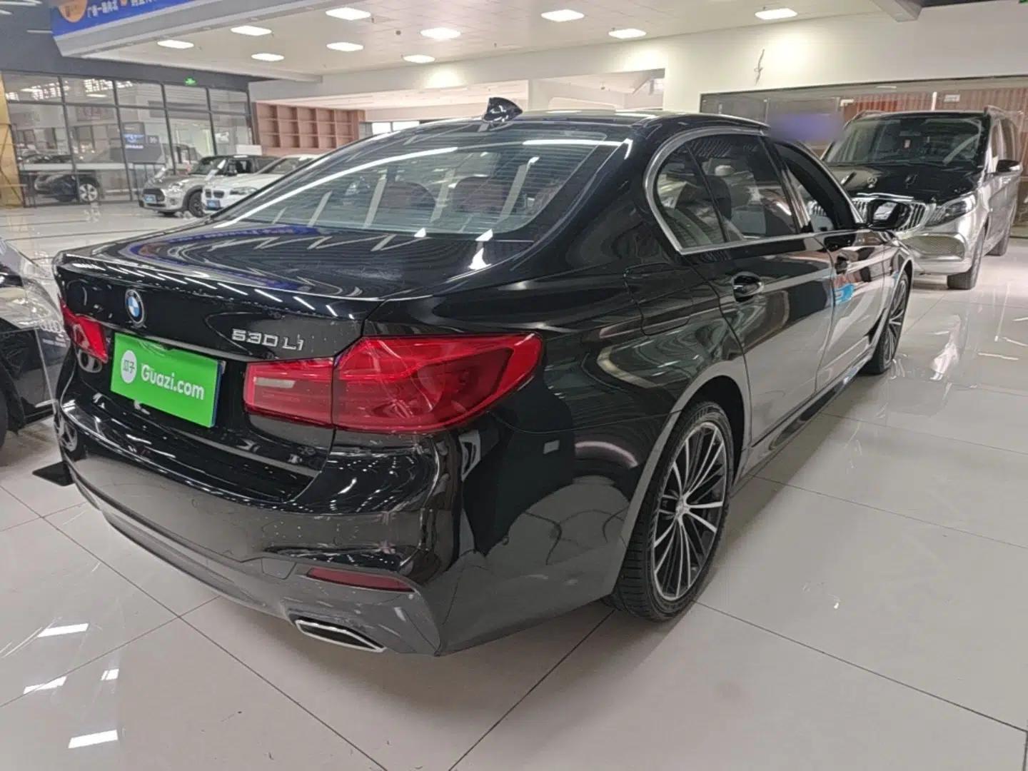 BMW 5 Series 2020 530Li Leading Model M Sport Package — миниатюра 6
