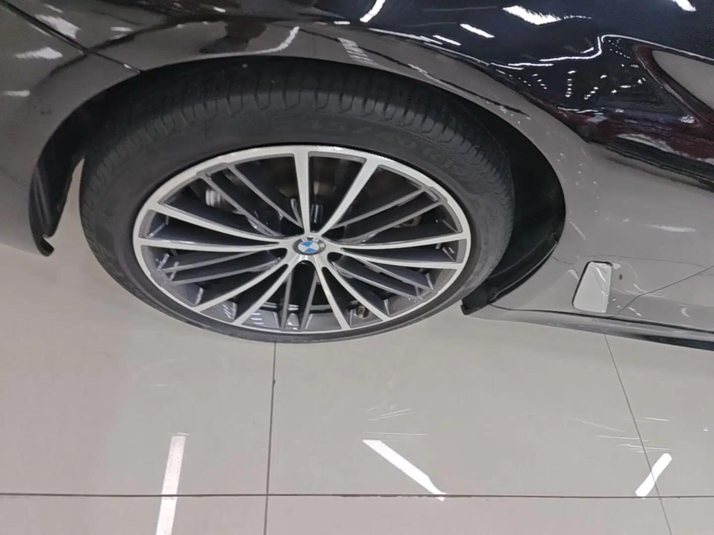 BMW 5 Series 2020 530Li Leading Model M Sport Package — миниатюра 10