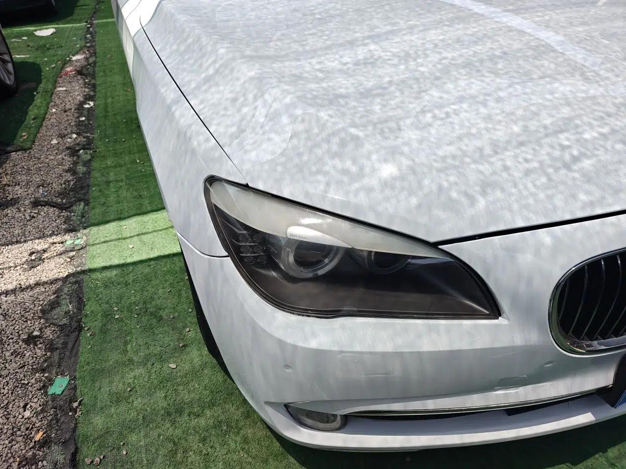 BMW 7 Series 2009 730Li Leading Model — миниатюра 7