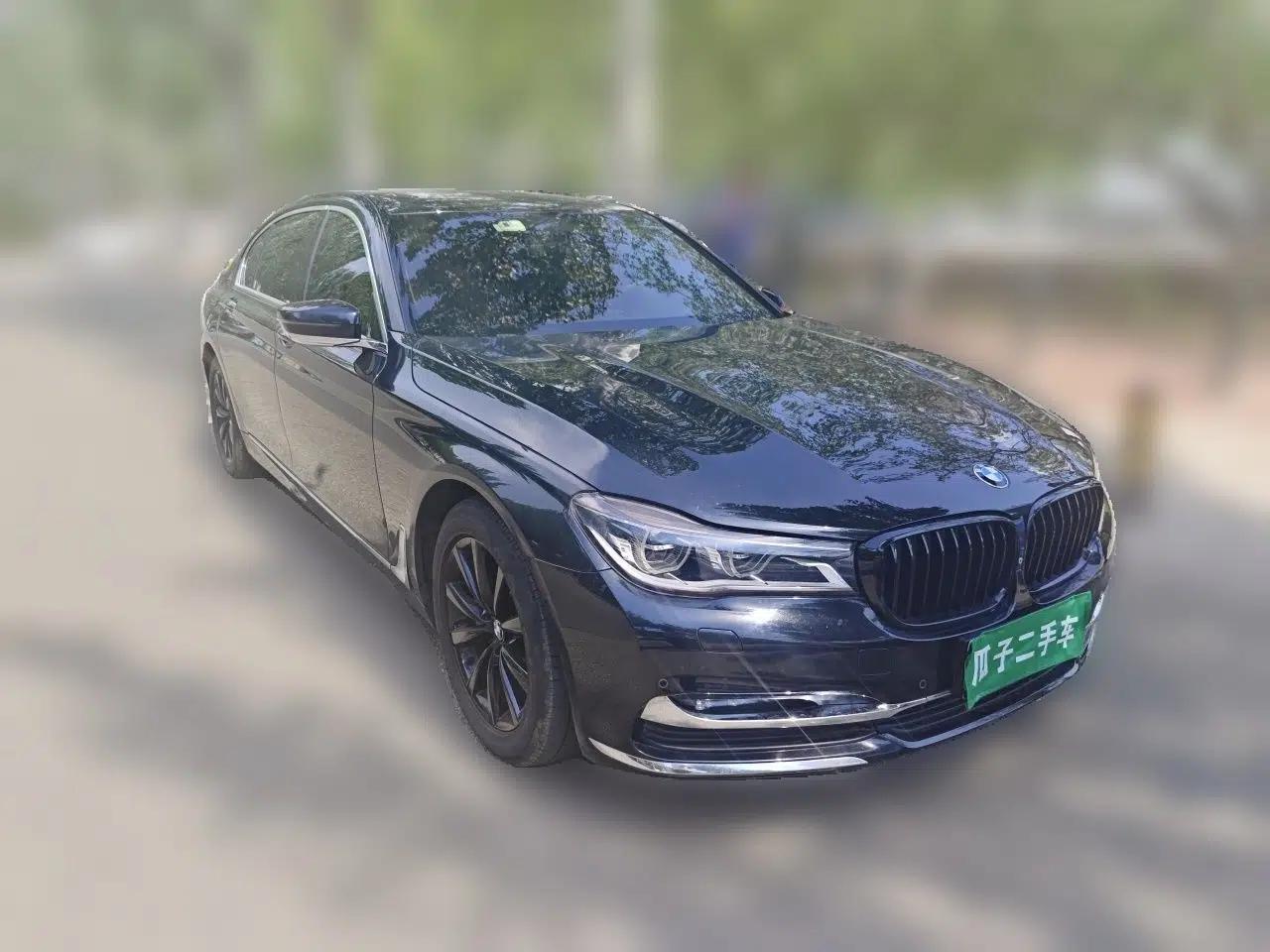 BMW 7 Series 2016 730Li Luxury Model — миниатюра 3