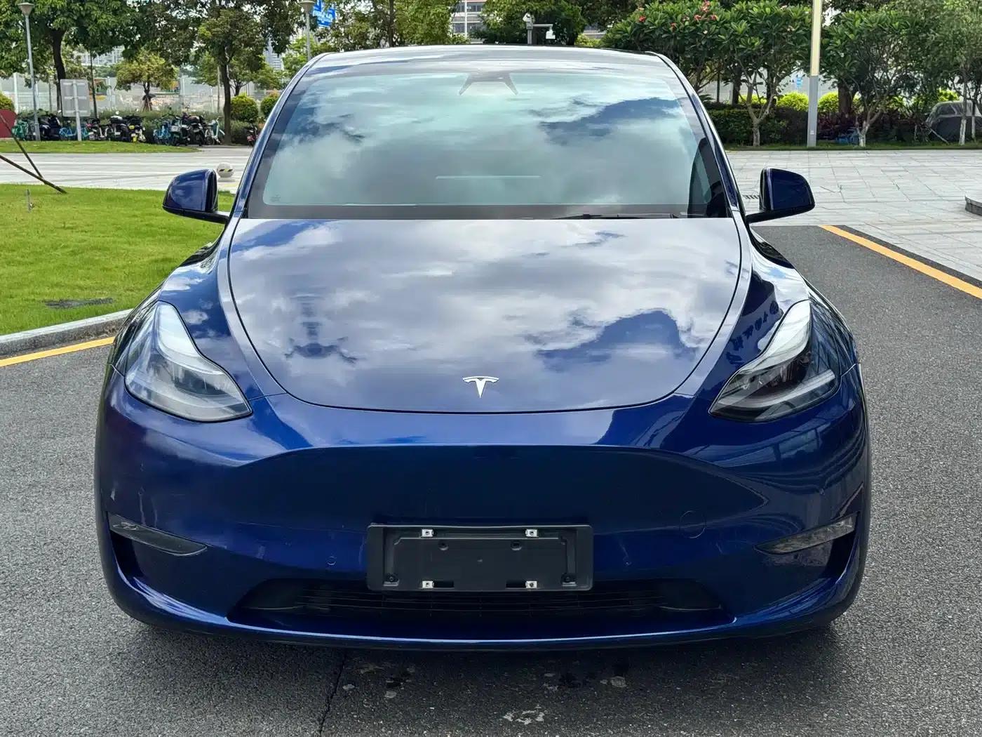 Model Y 2021 Long Range All-Wheel Drive — миниатюра 2