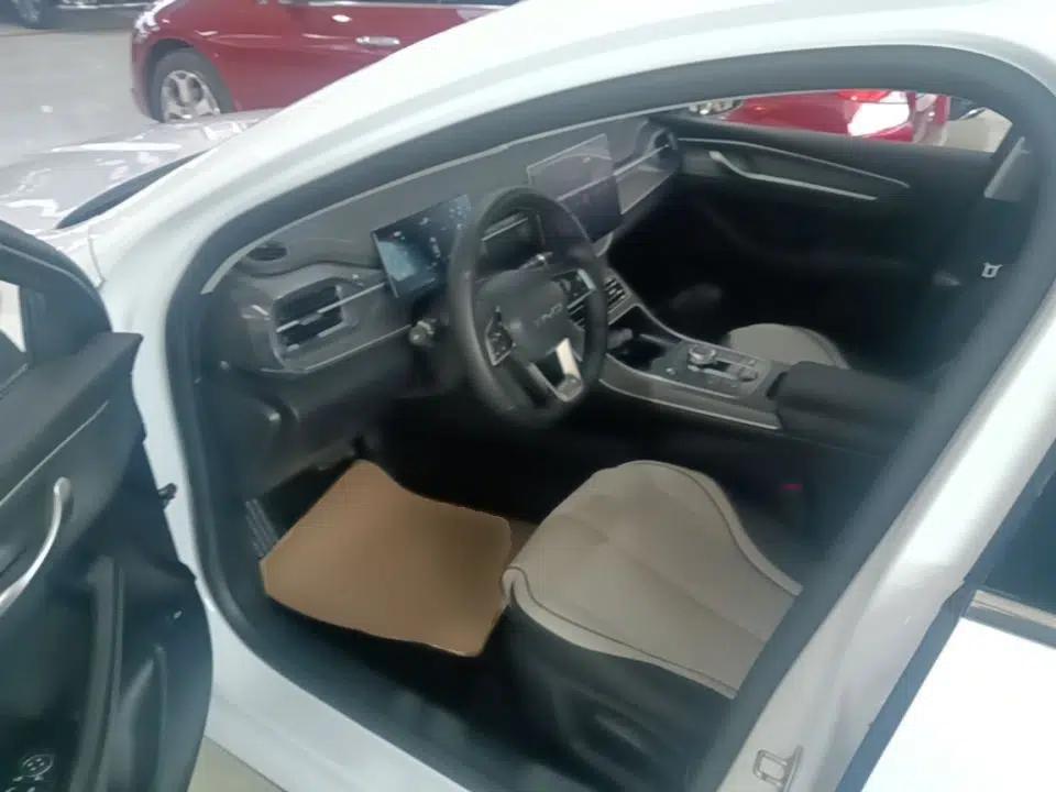 BYD Destroyer 05 2023 Champion Edition DM-i 55KM Luxury Model — миниатюра 17