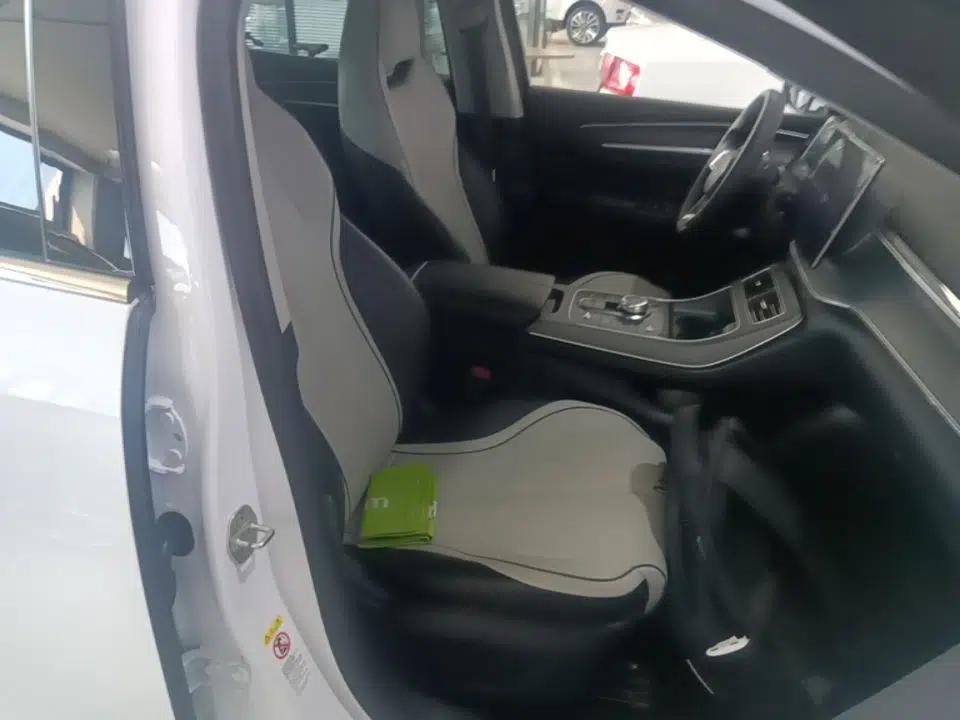 BYD Destroyer 05 2023 Champion Edition DM-i 55KM Luxury Model — миниатюра 19