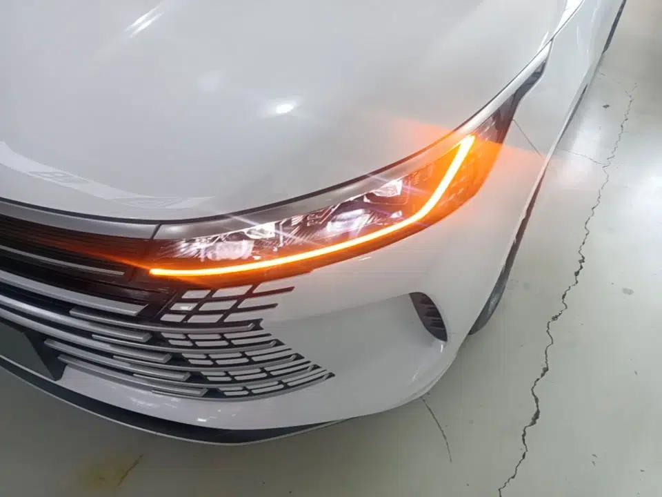 BYD Destroyer 05 2023 Champion Edition DM-i 55KM Luxury Model — миниатюра 8