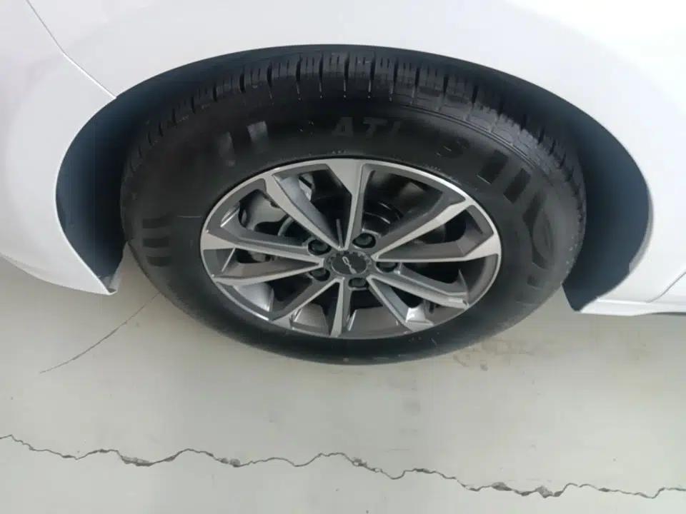 BYD Destroyer 05 2023 Champion Edition DM-i 55KM Luxury Model — миниатюра 10