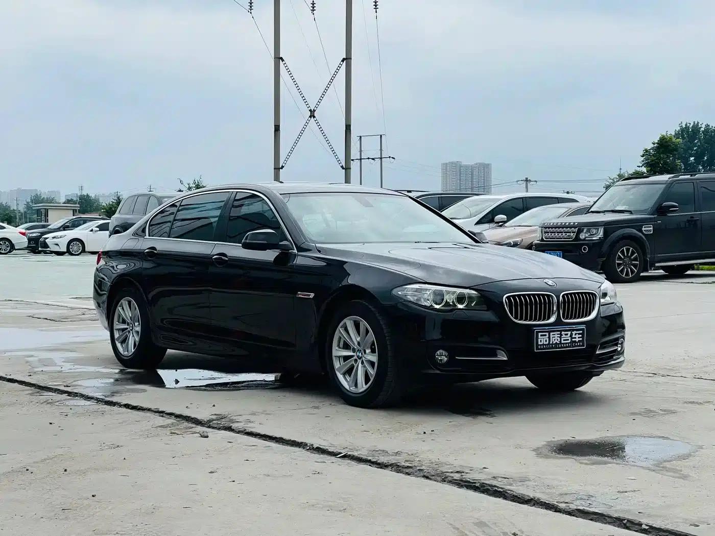2014 BMW 5 Series 520Li Elegant Edition — миниатюра 3