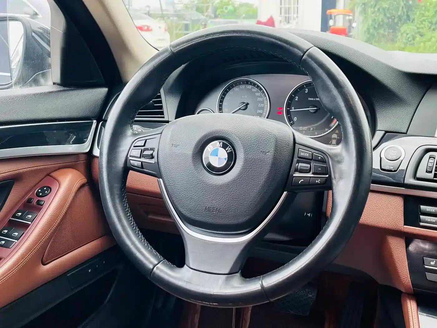 2014 BMW 5 Series 520Li Elegant Edition — миниатюра 10