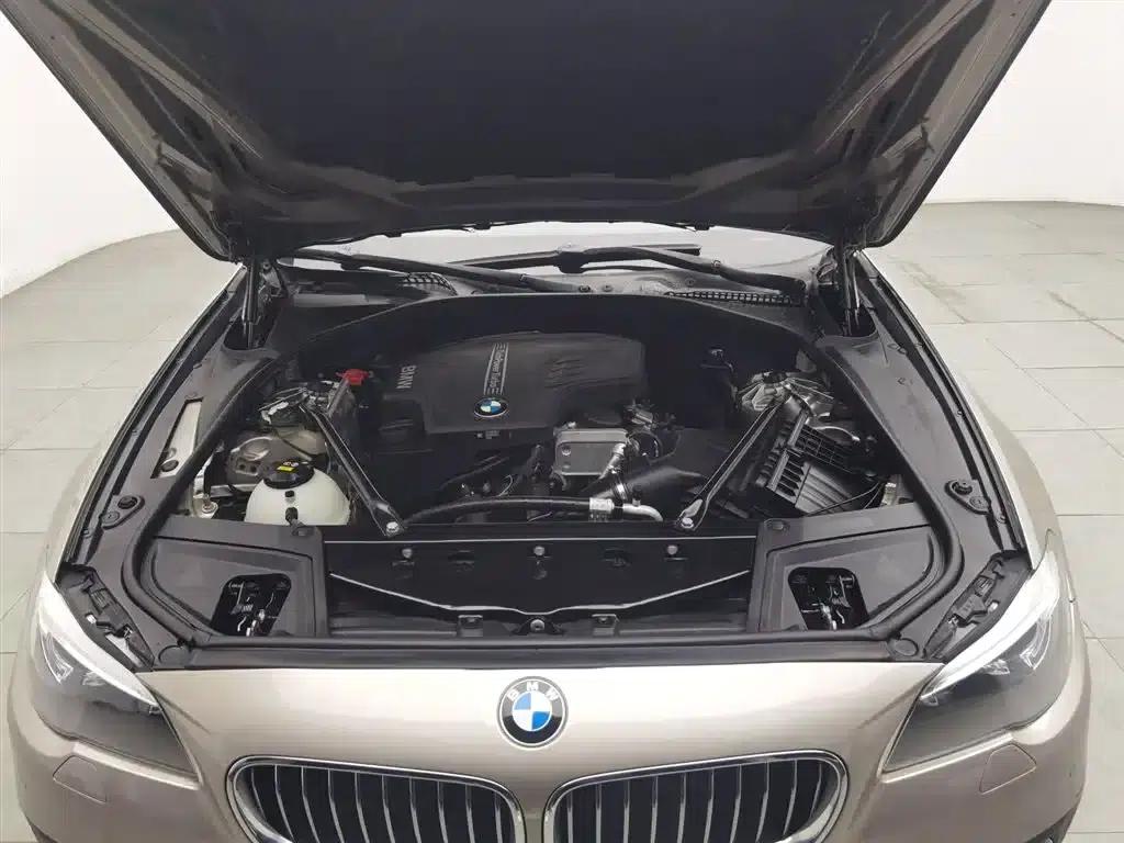 2014 BMW 5 Series 520Li Elegant Edition — миниатюра 6