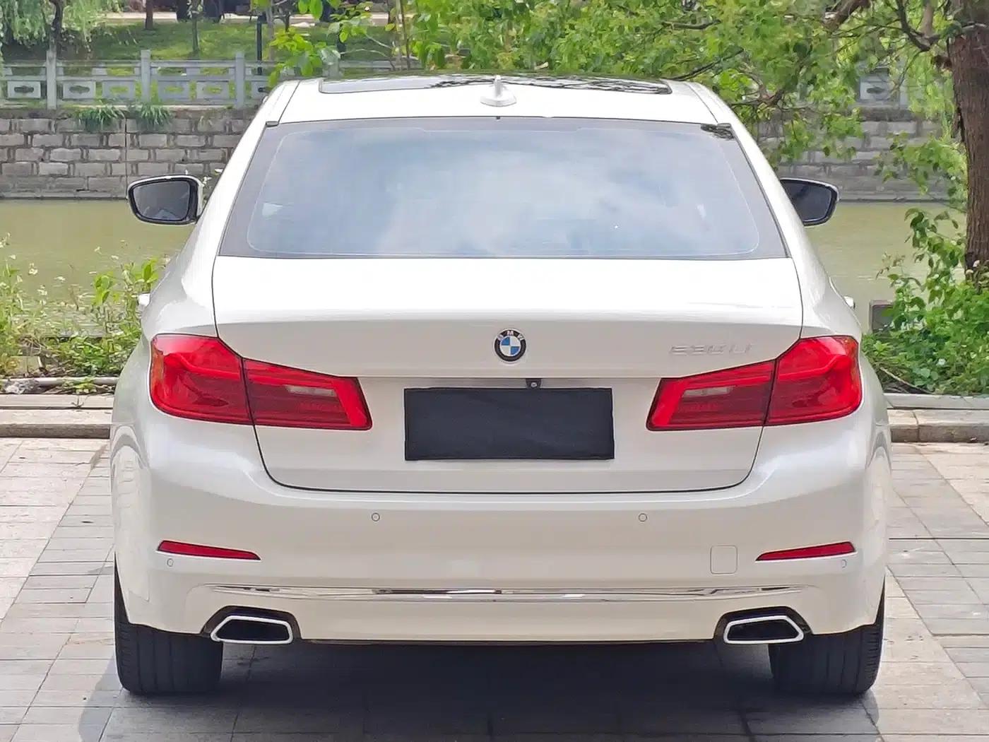 2018 BMW 5 Series 530Li xDrive Luxury Package — миниатюра 5