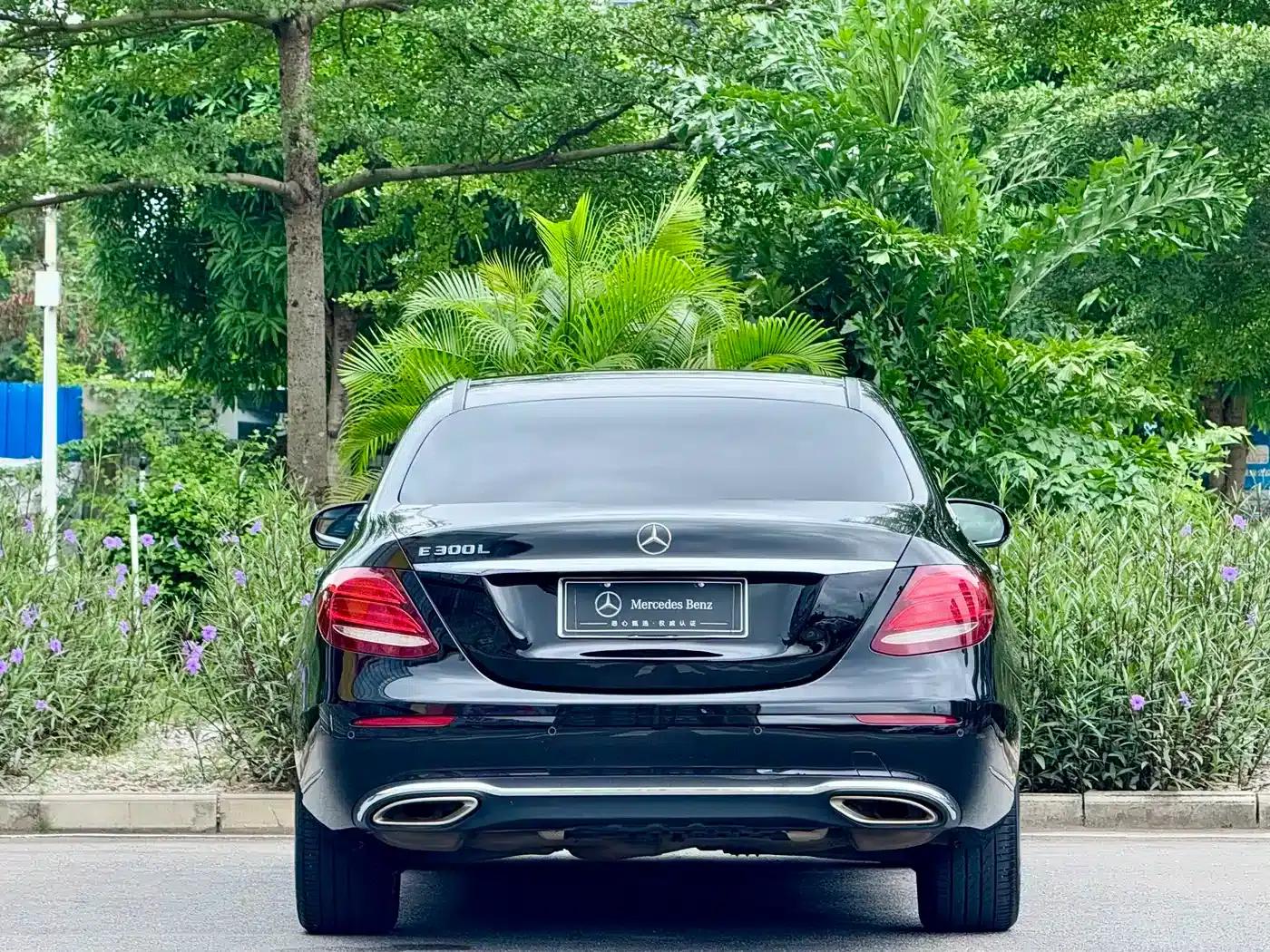 2019 Mercedes-Benz E-Class E 300 L Luxury — миниатюра 5