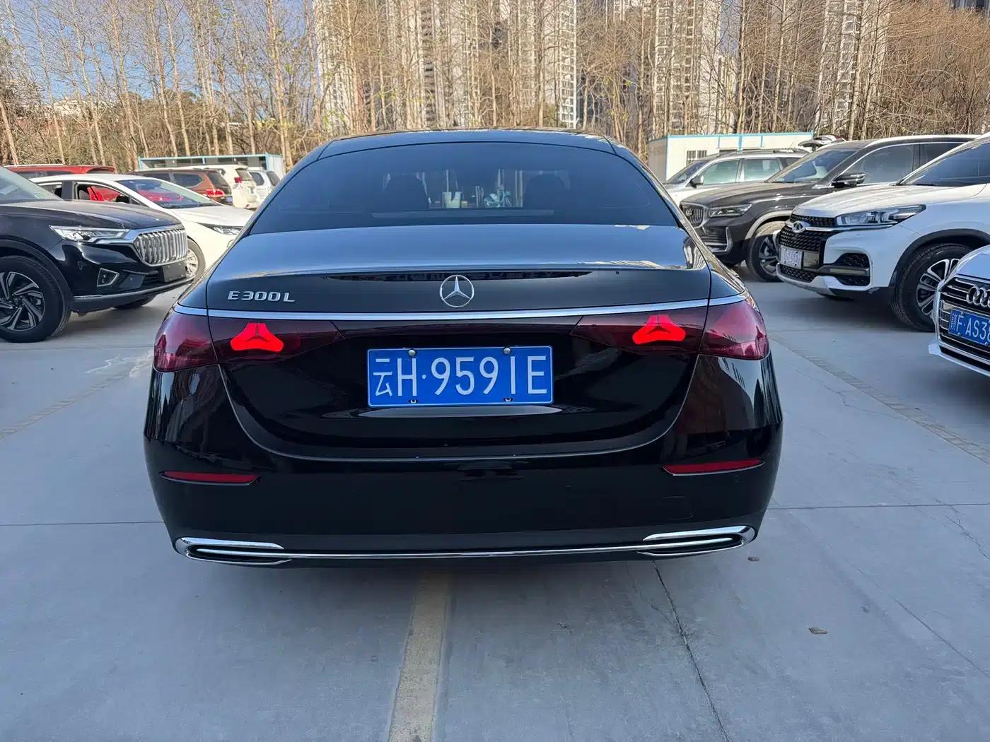 Mercedes-Benz E-Class 2025 Facelift E 300 L Luxury — миниатюра 18
