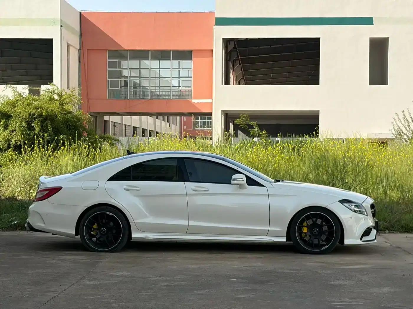 2015 Mercedes-Benz CLS 320 — миниатюра 7