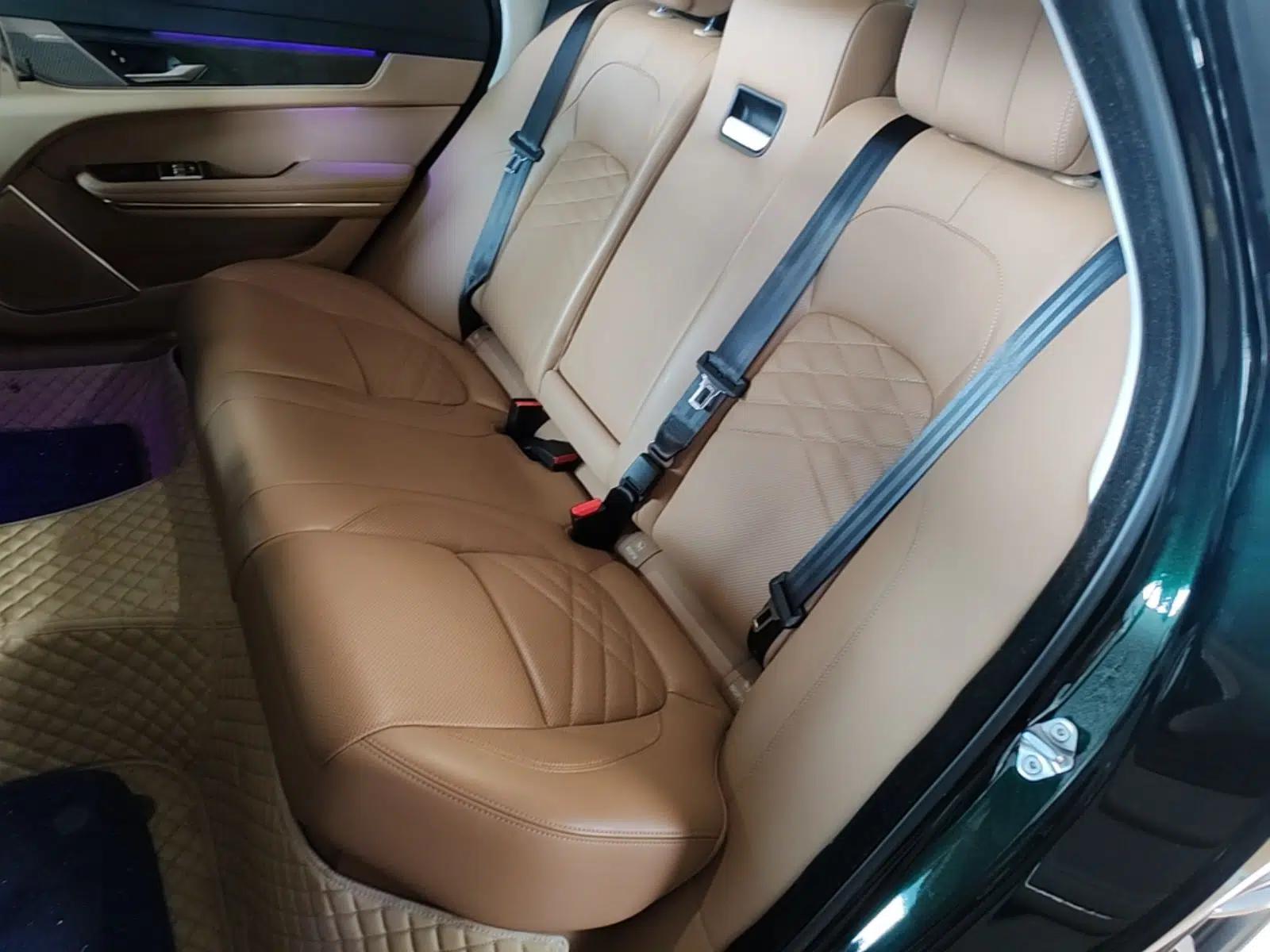 Jaguar XFL 2023 XFL 2.0T P250 Two-Wheel-Drive Prestige Luxury Gold Edition — миниатюра 20