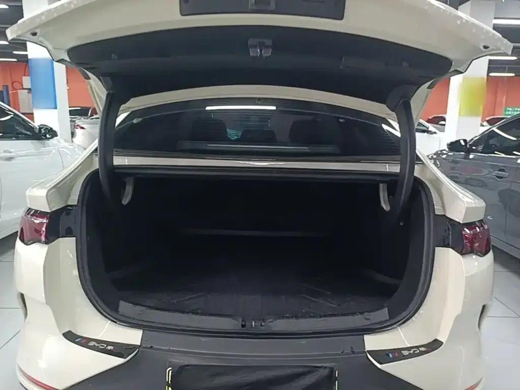 Qin L 2025 EV 545KM Premium Edition — миниатюра 19