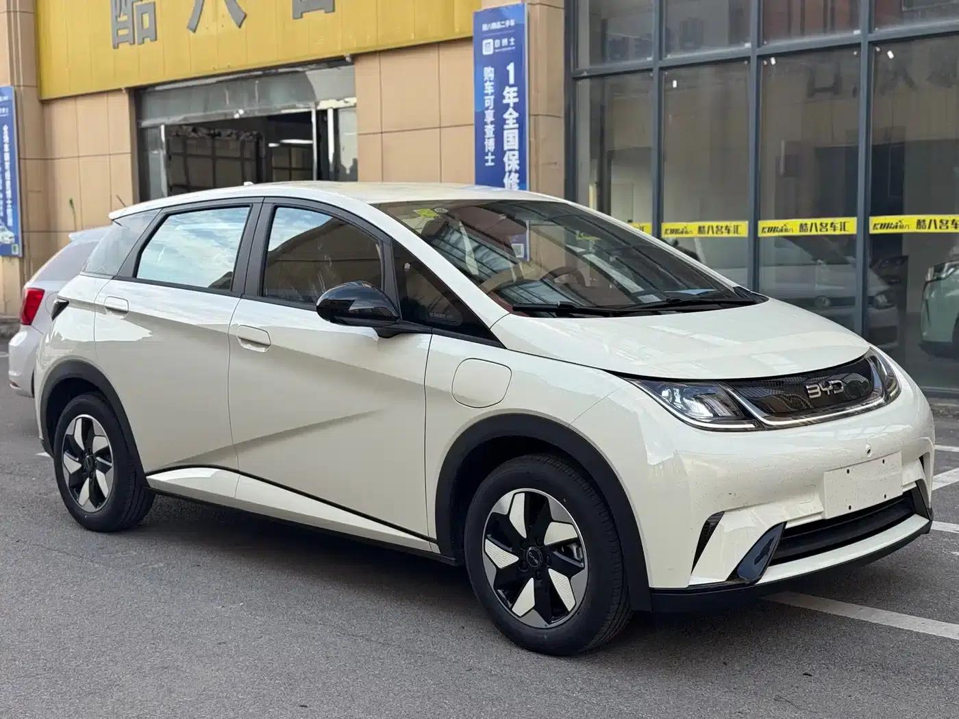 Dolphin 2025 420km Freedom Edition — миниатюра 1