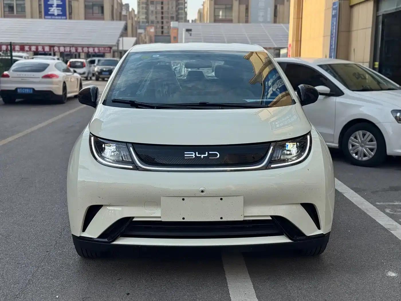 Dolphin 2025 420km Freedom Edition — миниатюра 2