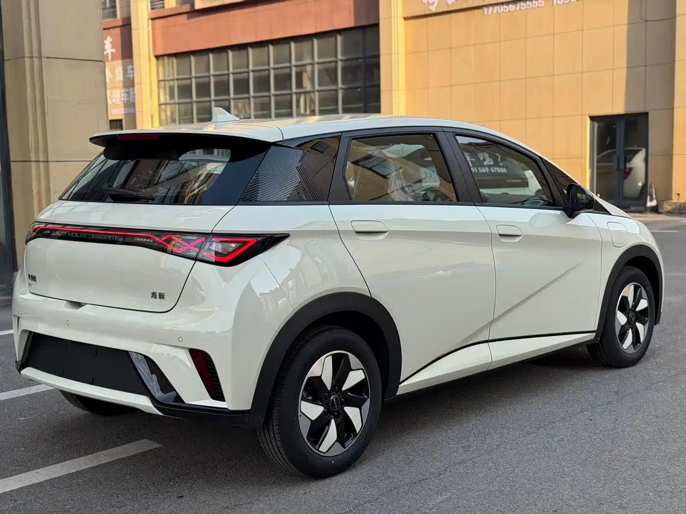 Dolphin 2025 420km Freedom Edition — миниатюра 12