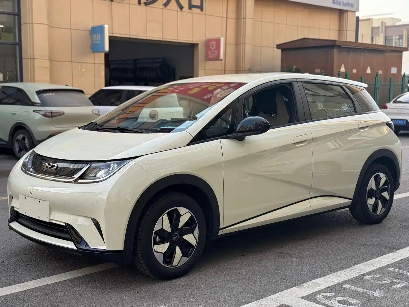 Dolphin 2025 420km Freedom Edition — миниатюра 3