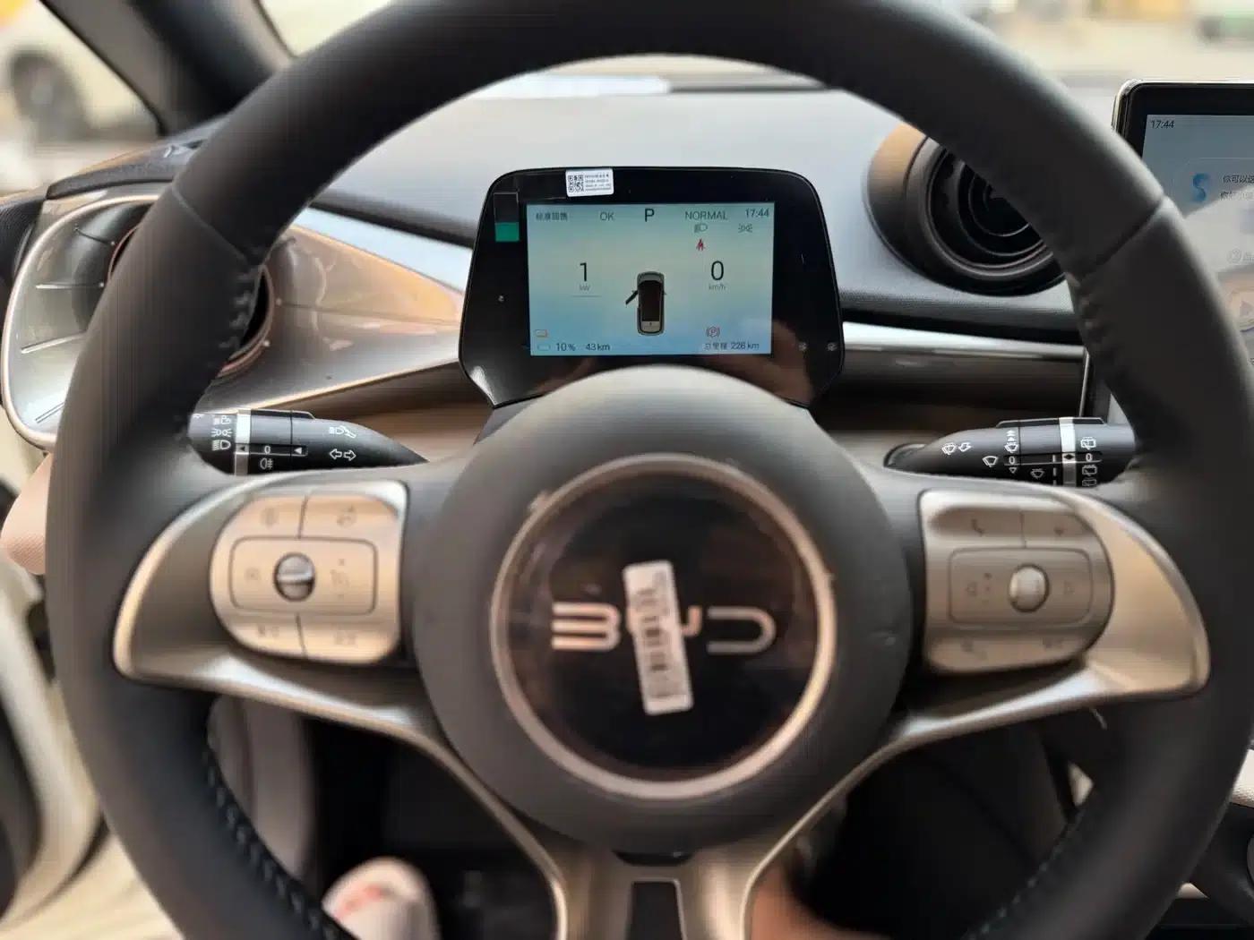 Dolphin 2025 420km Freedom Edition — миниатюра 7