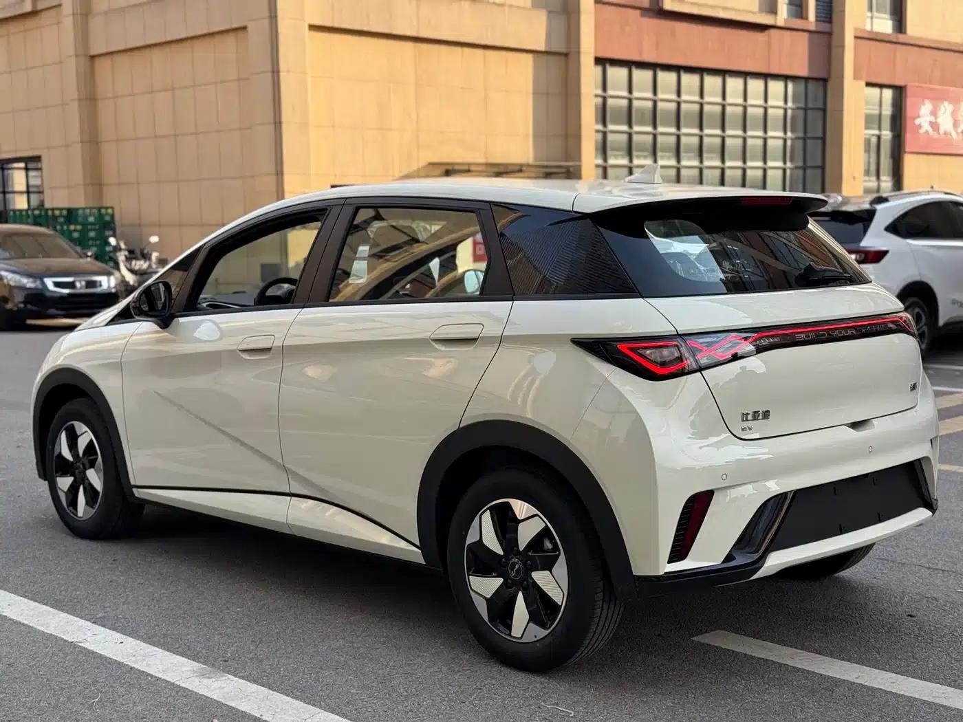 Dolphin 2025 420km Freedom Edition — миниатюра 10