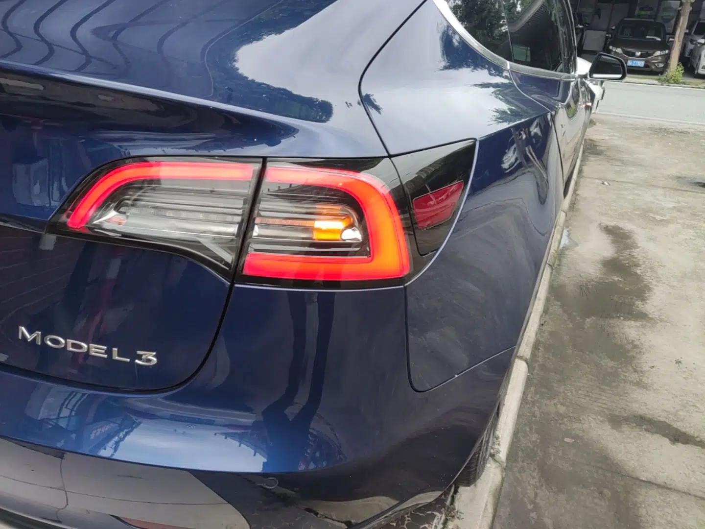 Tesla Model 3 2019 Long-Range Rear-Wheel-Drive Version — миниатюра 9