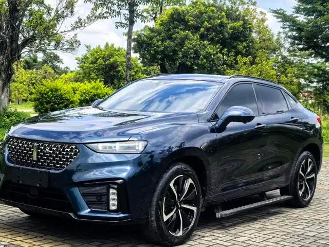 Wey VV7 GT 2020 2.0T Flagship Edition